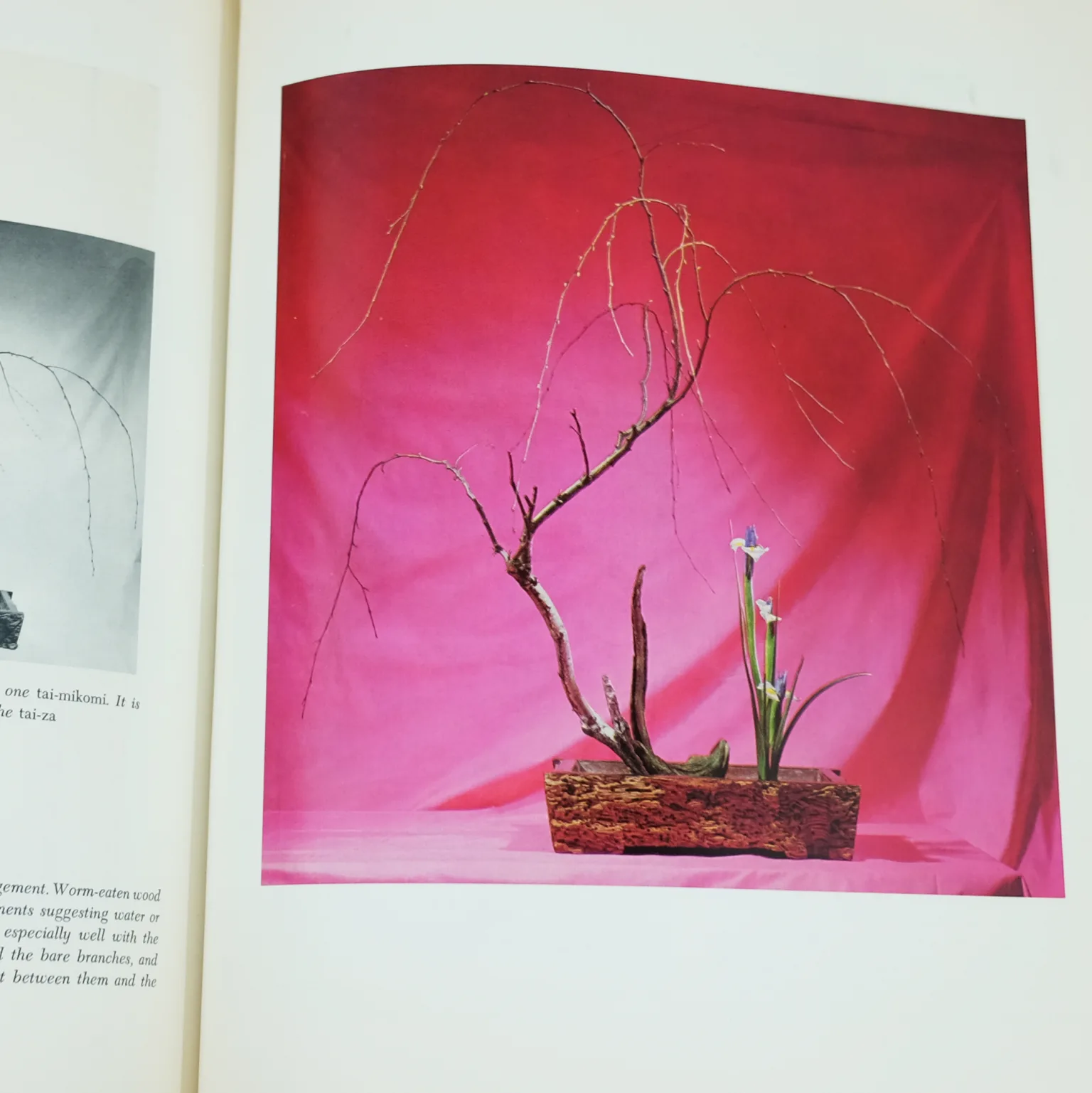 "The Art of Arranging Flowers, A Complete Guide to Japanese Ikebana" by